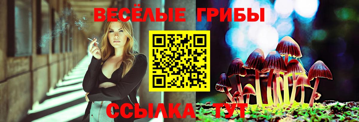 Псилоцибиновые грибы Psilocybine cubensis Мариинск